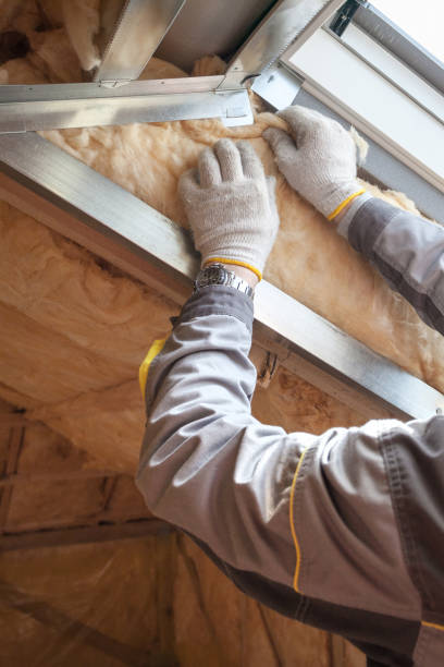 Best Eco-Friendly Insulation in Tamalpais Homestead Valley, CA