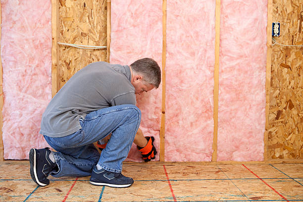 Best Geographic-Specific Insulation Services in Tamalpais Homestead Valley, CA