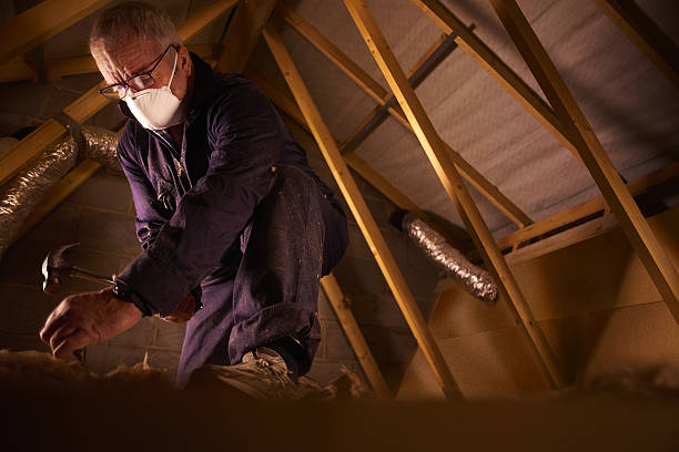 Best Spray Foam Insulation in Tamalpais Homestead Valley, CA